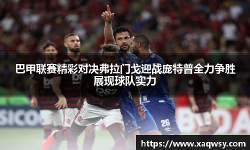 巴甲联赛精彩对决弗拉门戈迎战庞特普全力争胜展现球队实力